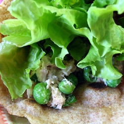 Spring Tuna Wraps