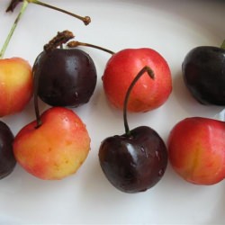 Which cherry won?