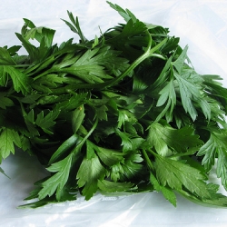 Parsley