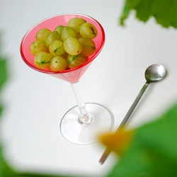 Gooseberry Sorbet