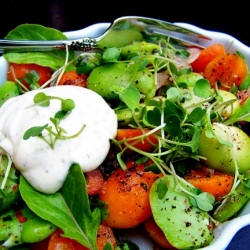 Fava, French Carrot and Arugula