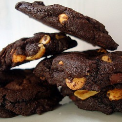 Chocolate Peanut Butter Cookies