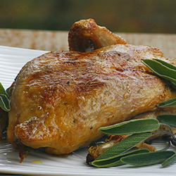 Roasted Pheasant w/ Apple and Sage