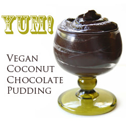 Vegan Coconut Chocolate Pudding