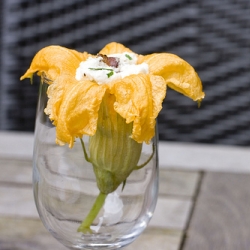 Bacon & Ricotta Stuffed Squash Blossom