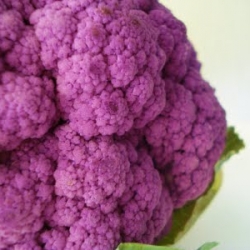 Purple Cauliflower