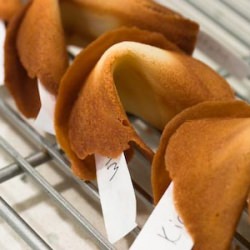 Fortune Cookies