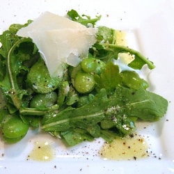 Fava, Arugula, Parmesan Salad