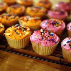 Vanilla Cupcakes