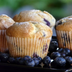 Blueberry Muffins