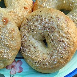 Homemade Bagels