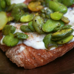 Crostini, Fava Beans, Creme Fraiche