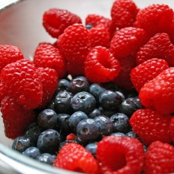 Berry Bowl