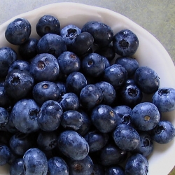 Fresh Blueberries, Picked Locally