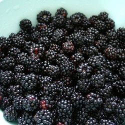 Fresh Blackberries