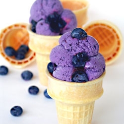 Eggless Blueberry Gelato