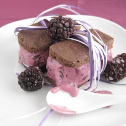 Blackberries & Chocolate Ice Cream