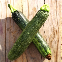 Zucchini