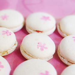 Cherry Macarons