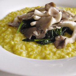 Fresh Corn Polenta with Mushrooms