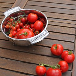 Garden Tomatoes