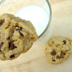 Peanut Butter Coconut Chipsters