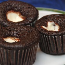 Black Bottom Cupcakes