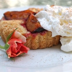 Dulwich Doorways and Plum Cake