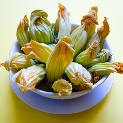 Fried Squash Blossoms