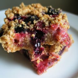 Gooseberry Blueberry Streusel Square