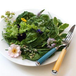 Field Greens Salad