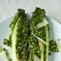 Grilled Romaine