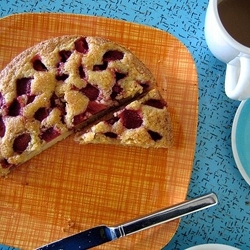 Fresh Berry Cake (aka Easy Cake!)