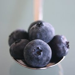 Fresh Blueberry Sauce