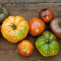 Heirloom Tomatoes with Dressing