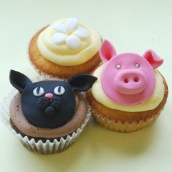 SPCA Cupcake Day