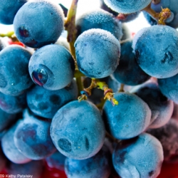 Frozen Grapes