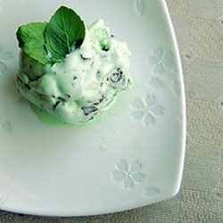 Mint Chocolate Ice Cream