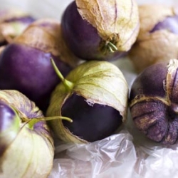 Fire Roasted Tomatillo Salsa