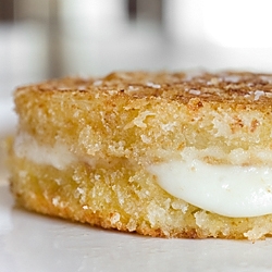 Fried Green Tomatoes and Mozzarella