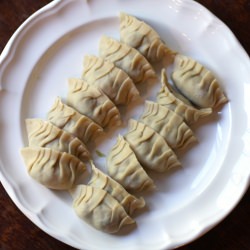 Homemade Gyoza Wrappers