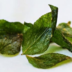 Crispy Herb Leaves