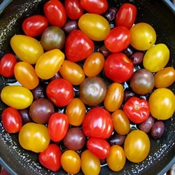 Tomato Tarte Tatin