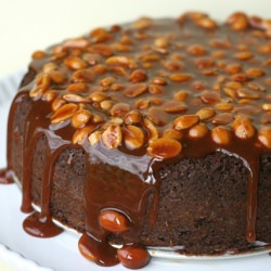 Caramel Peanut Brownie Cake