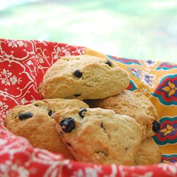 Blueberry Scones