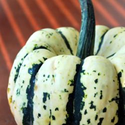 Sweet Dumpling Squash