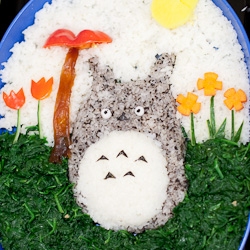 Totoro Rice