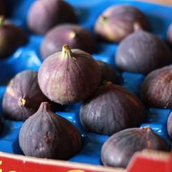 Fig and Walnut Risotto