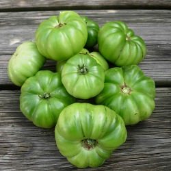 Fried Green Tomatoes