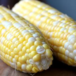 Sweet Corn on the Cob